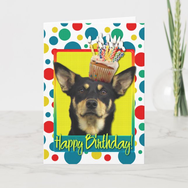 Birthday Cupcake - Australian Kelpie - Jude Card (Front)