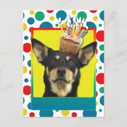 Birthday Cupcake _ Australian Kelpie _ Jude Postcard