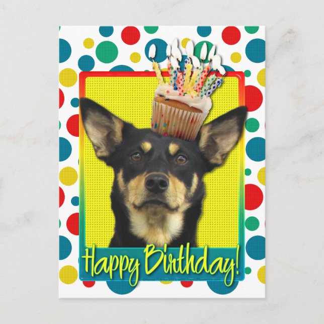 Birthday Cupcake - Australian Kelpie - Jude Postcard (Front)