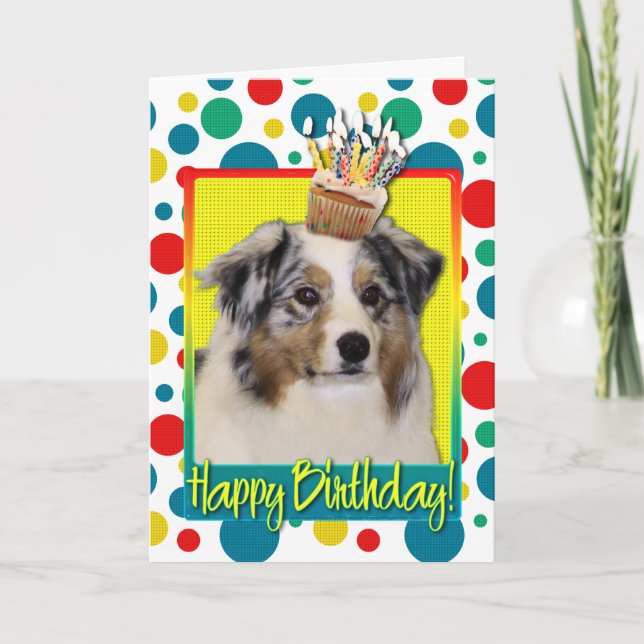 Birthday Cupcake - Australian Shepherd Card (Front)