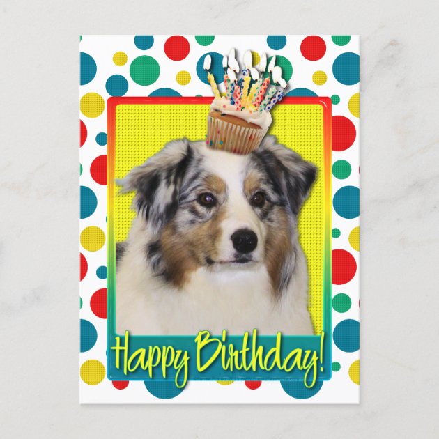 Birthday Cupcake Australian Shepherd Postcard Zazzle