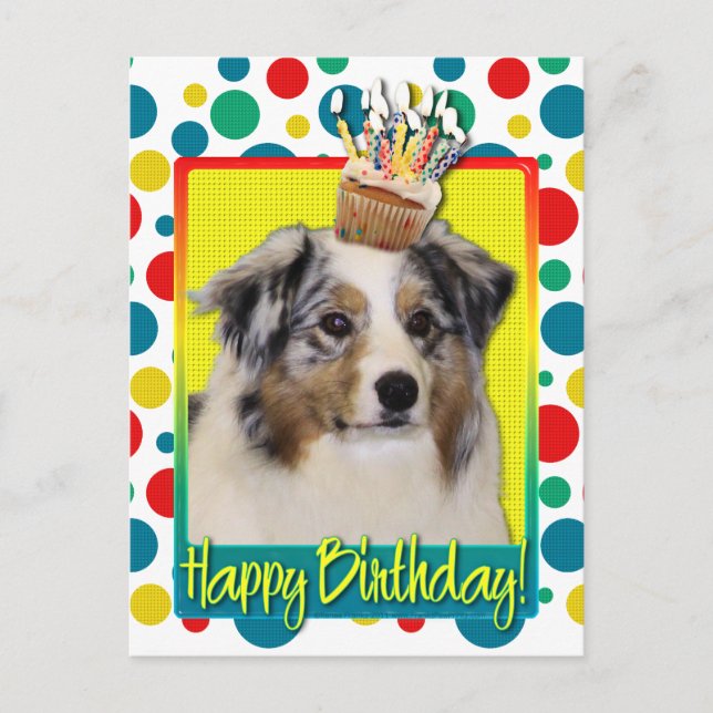Birthday Cupcake - Australian Shepherd Postcard (Front)