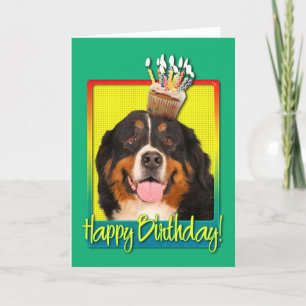 Birthday Cupcake — Bernese Mountain Dog Card