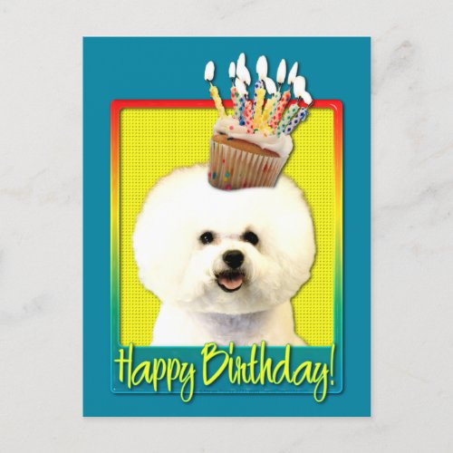 Birthday Cupcake _ Bichon Frise Postcard