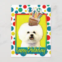 Bichon frise clearance cupcakes