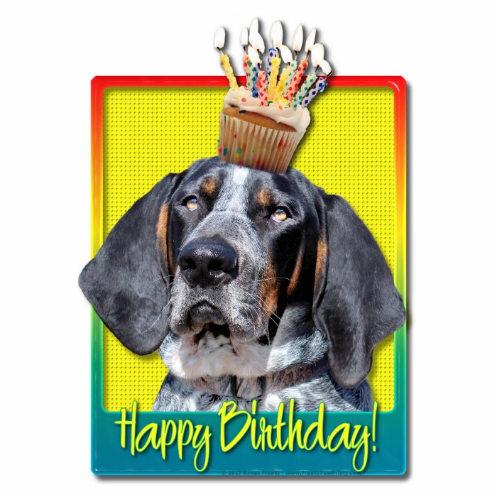 Birthday Cupcake   Bluetick Coonhound   Chuck Photo Cut Out