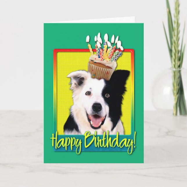 Birthday Cupcake - Border Collie Card (Front)