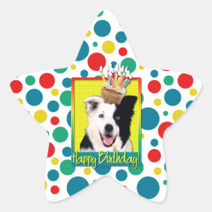 Birthday Cupcake - Border Collie Star Sticker