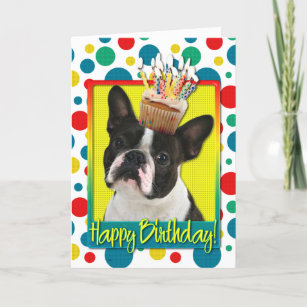 Birthday Cupcake — Boston Terrier Card