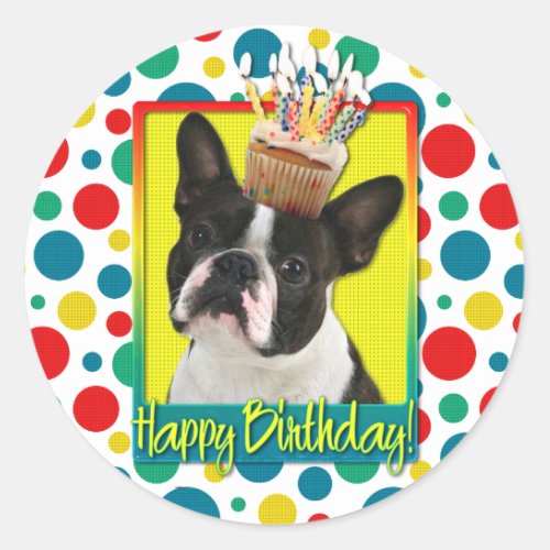 Birthday Cupcake _ Boston Terrier Classic Round Sticker