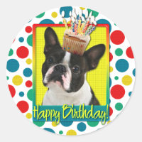 Birthday Cupcake - Boston Terrier