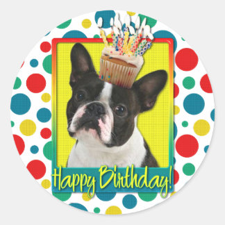 Birthday Cupcake - Boston Terrier Classic Round Sticker