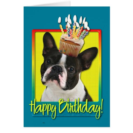 Birthday Cupcake - Boston Terrier Greeting Card | Zazzle