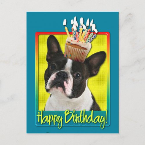Birthday Cupcake _ Boston Terrier Postcard