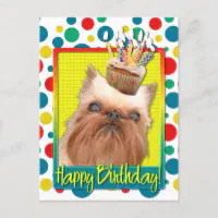 Happy birthday hot sale brussels griffon