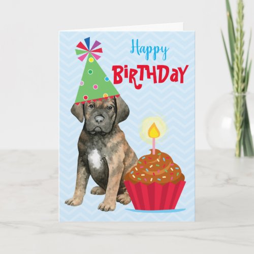 Birthday Cupcake Cane Corso Card
