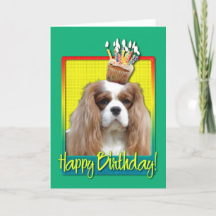 Birthday Cupcake — Cavalier — Blenheim Card