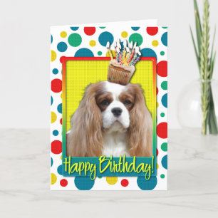Birthday Cupcake - Cavalier - Blenheim Card