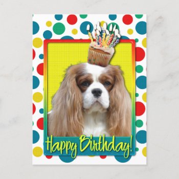 Birthday Cupcake - Cavalier - Blenheim Postcard by FrankzPawPrintz at Zazzle