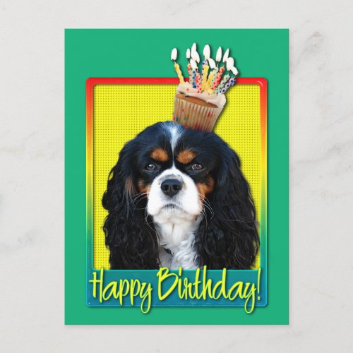 Birthday Cupcake _ Cavalier _ Tri_Color Postcard