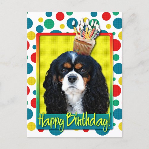 Birthday Cupcake _ Cavalier _ Tri_Color Postcard