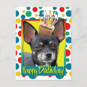 Birthday Cupcake - Chihuahua - Isabella Postcard
