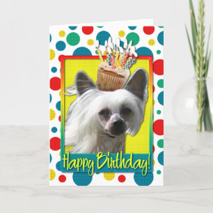 Birthday Cupcake - Chinese Crested - Kahlo Card