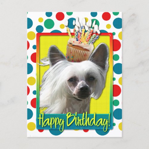 Birthday Cupcake _ Chinese Crested _ Kahlo Postcard