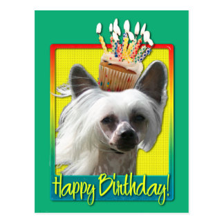 Chinese Crested Birthday Postcards | Zazzle