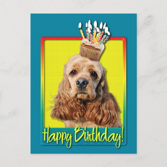Birthday Cupcake - Cocker Spaniel Postcard (Front)