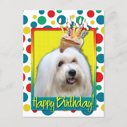 Birthday Cupcake _ Coton de Tulear Postcard