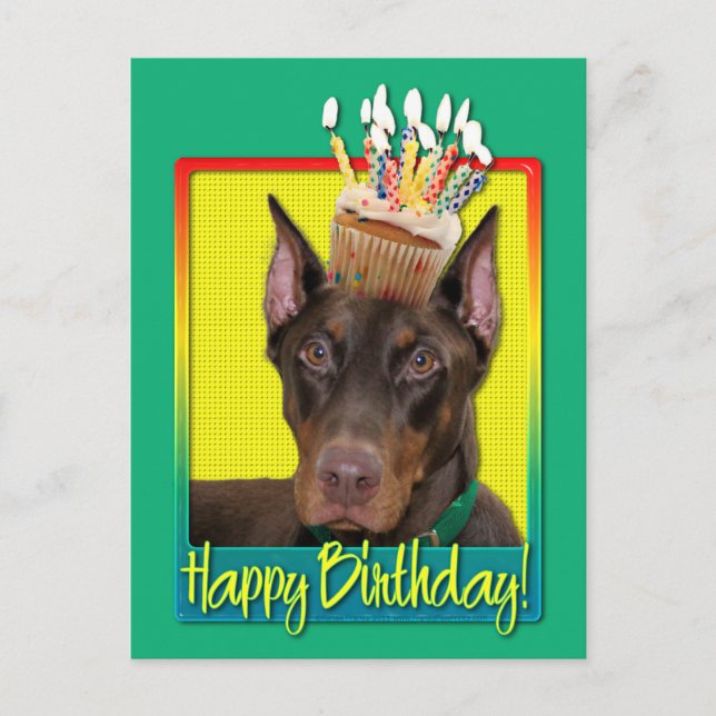 Birthday Cupcake - Doberman - Red - Rocky Postcard (Front)