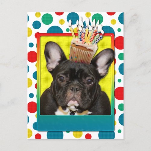 Birthday Cupcake _ French Bulldog _ Teal Postcard