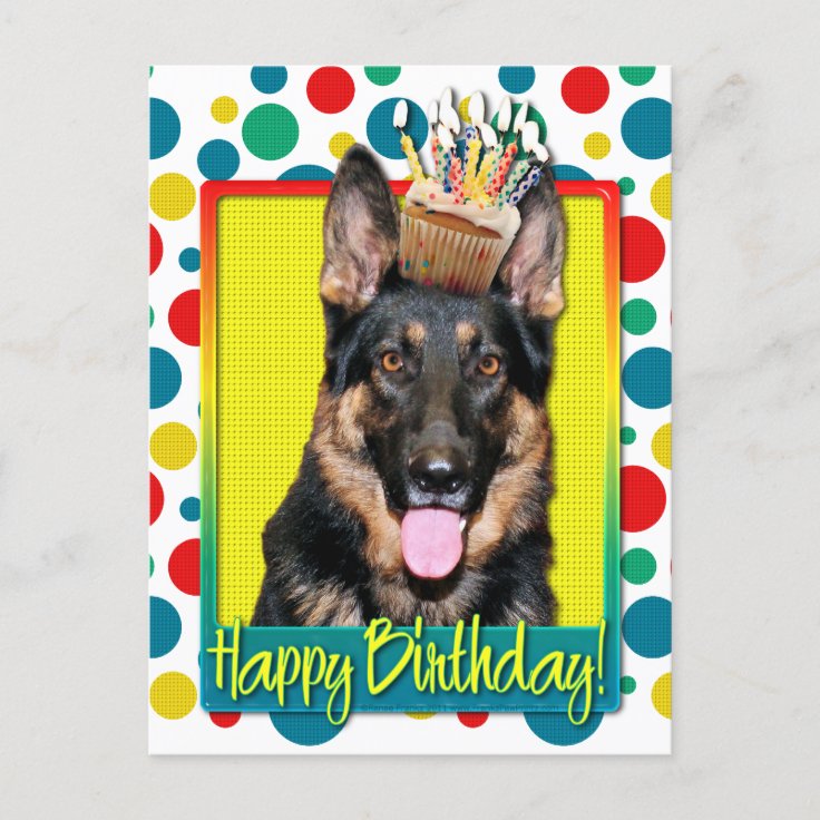 Birthday Cupcake - German Shepherd - Kuno Postcard | Zazzle