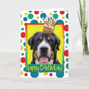 Birthday Cupcake - Greater Swiss Mountain Dog Card