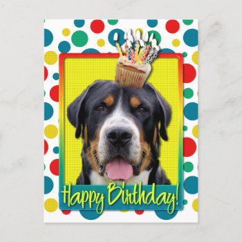 Birthday Cupcake - Greater Swiss Mountain Dog Postcard by FrankzPawPrintz at Zazzle