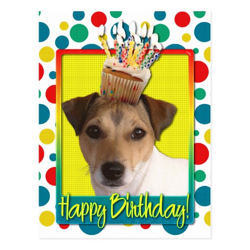 Birthday Cupcake - Jack Russell Postcard | Zazzle