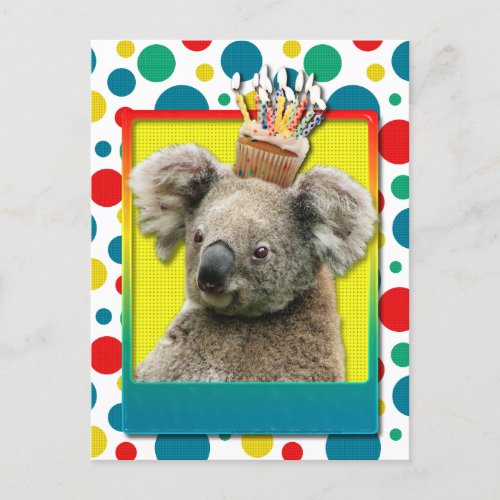 Birthday Cupcake _ Koala Postcard