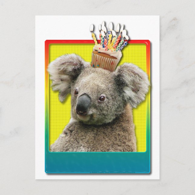 Birthday Cupcake Koala Postcard (Front)