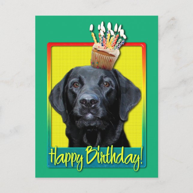 Birthday Cupcake - Labrador - Black - Gage Postcard (Front)