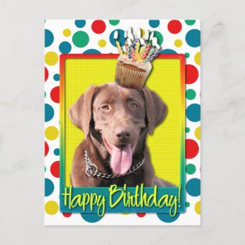 Birthday Cupcake - Labrador - Chocolate Postcard by FrankzPawPrintz at Zazzle