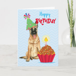 Birthday Cupcake Malinois Card