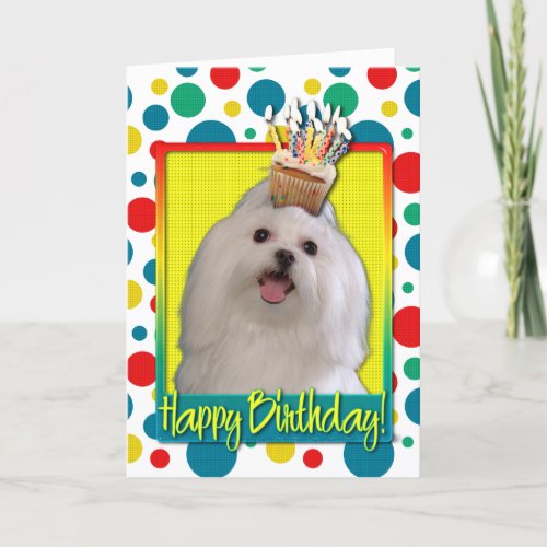 Birthday Cupcake _ Maltese Card