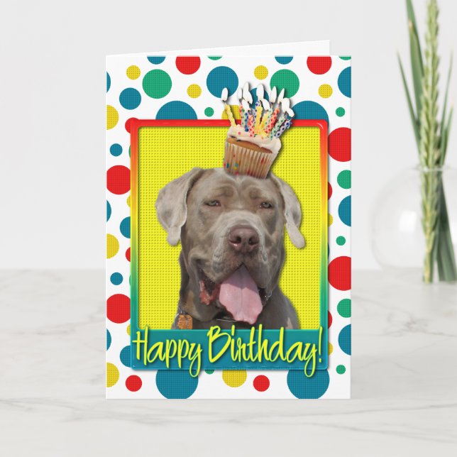 Birthday Cupcake - Mastiff - Snoop Card (Front)