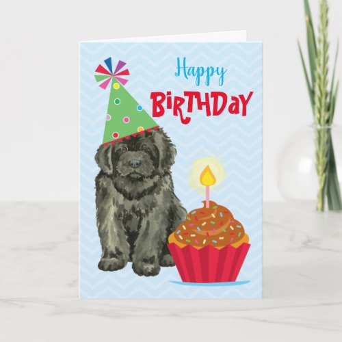 Birthday Cupcake Newfoundland Card