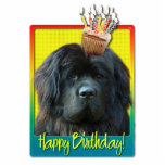 Birthday Cupcake - Newfoundland Cutout<br><div class="desc">Celebrate a birthday with this whimsical Newfoundland Dog Greeting Card. With a cupcake balanced on it's head,  this design is sure to bring a smile and giggles! BTW,  This design has several versions,  with different background colors. There is also an invitation to a Party version.</div>