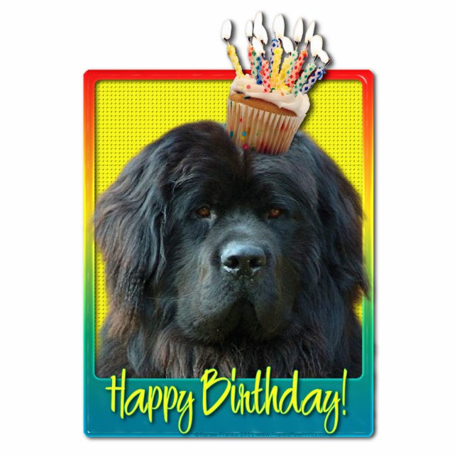 Birthday Cupcake - Newfoundland Cutout (Front)