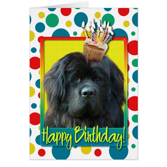 Birthday Cupcake   Newfoundland Greeting Card