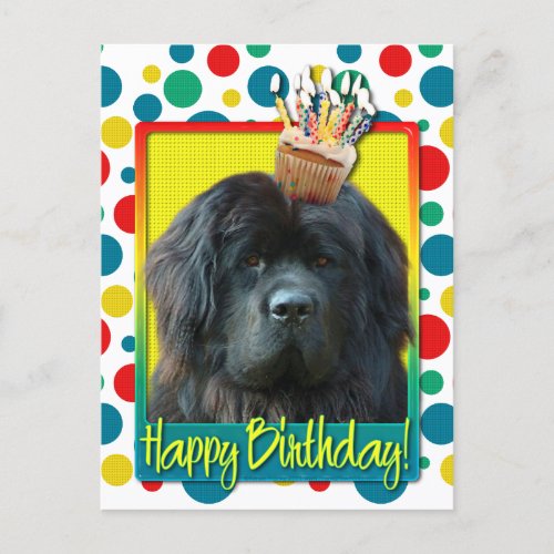 Birthday Cupcake _ Newfoundland Postcard