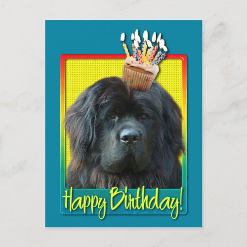 Birthday Cupcake _ Newfoundland Postcard